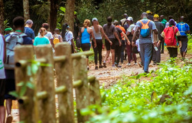 Balade dans la forêt du parc national banco