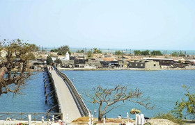 Balade sur l'ile aux coquillages