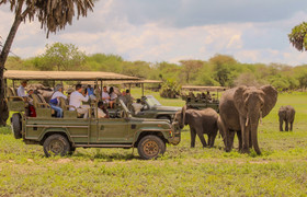 Day trip - selous day safari tour