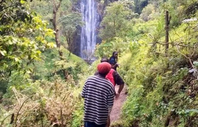 Day trip to materuni waterfall and coffee tour 