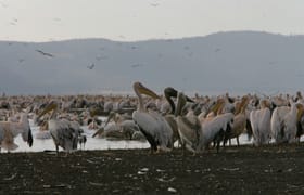 Guided small group kenya adventure wildlife safaris.