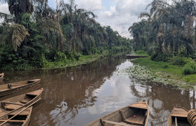 Visite de porto-novo et rivière noire