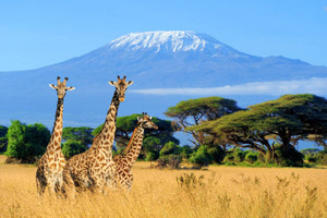 9 raisons de s'envoler au Kenya 