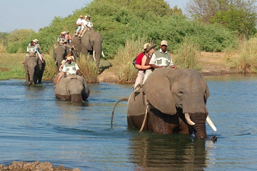 Experience an elephant ride safari - mukuni big 5 Livingstone
