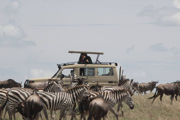9 Day Tanzania Safari And Cultural Tourism Arusha