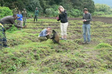 4 Days Rwanda Gorilla Tour Experience Kigali