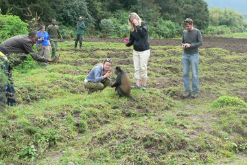 4 days rwanda gorilla tour experience Kigali
