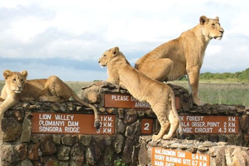Nairobi national park day tours Nairobi