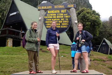 Mount Kilimanjaro Day Trip Expedition Arusha