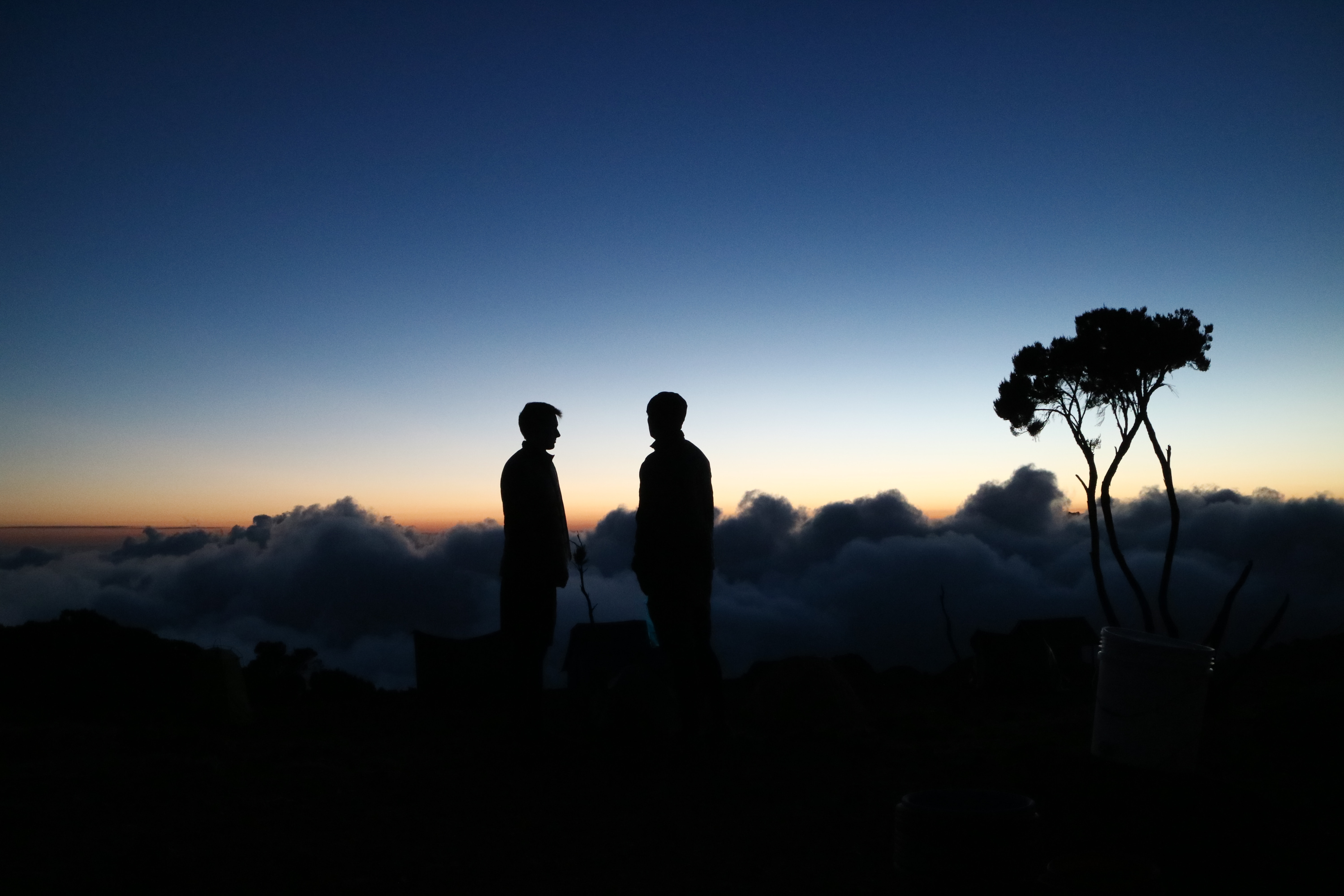 7- Days Mount Kilimanjaro Lemosho Route Arusha