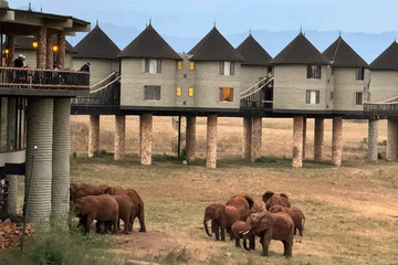 4-day Amboseli, Tsavo West & Tsavo East Safari Adventure Nairobi