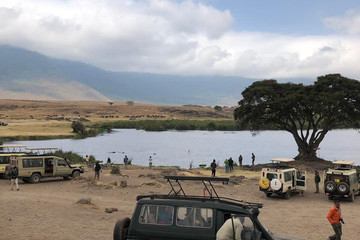 2 days national park ngorongoro crater & tarangire: Arusha
