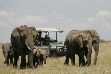 9 days elewana collection kenya luxury safari Nairobi
