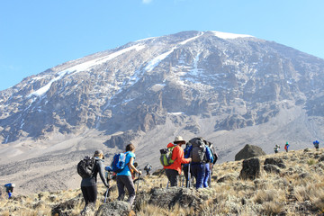 8 days kilimanjaro climb via lemosho route Moshi