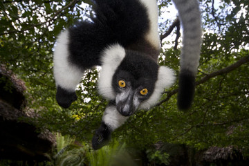 Madagascar eastern treasure Antananarivo