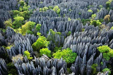 Madagascar discovery and splendor. Antananarivo