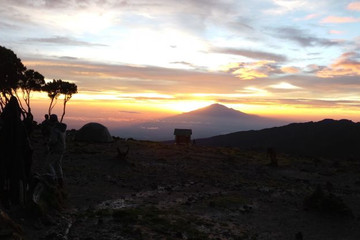 8 days lemosho route kilimanjaro climbing Moshi