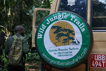 3-day rwanda gorilla safari - mid-range safari Kampala