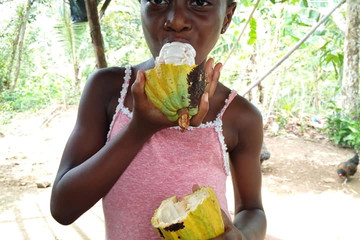Atelier de vacance 2020 (apprendre à fabriquer le chocolat) Grand Bassam