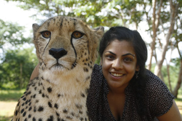Cheetah and lion interaction - mukuni big 5 Livingstone