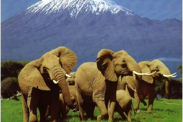 3 days mystical kenya amboseli national park safari Nairobi