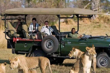 Unforgettable 3-day masai mara safari – stay in the heart of the wild Nairobi