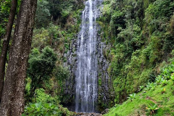 Day Walk Tour While Away At Materuni Village & Splendorous Waterfall Adventure Arusha