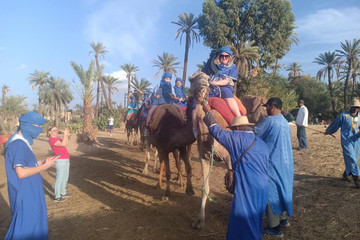Camel Ride In The Palm Grove Of Marrakech Marrakech