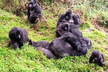 4 days safari rwanda Kigali