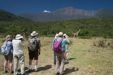 Arusha National Park Day Tour Arusha