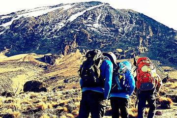 Mount kilimanjaro climbing via marangu route 5 days Moshi