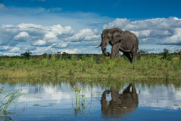 2 Days Safari In Tarangire And Ngorongoro Arusha