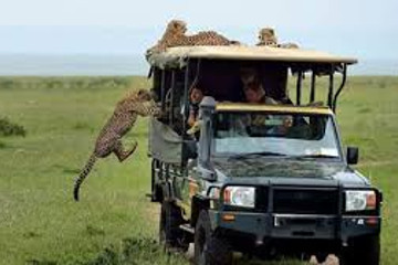 5 days kenya wilderness trails safari holiday package Nairobi