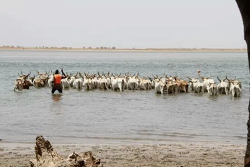 Bush and villages - a 8 day excursion around senegal out of dakar Mbour