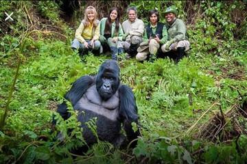 3 day gorilla trekking safari Kampala