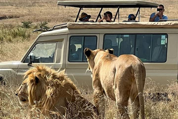 5-day Amboseli, Tsavo West & Tsavo East Safari – Explore Kenya’s Wildlife Nairobi