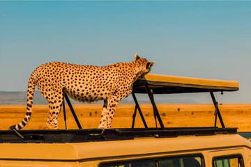 5 Day Tanzania Camping Safari Arusha