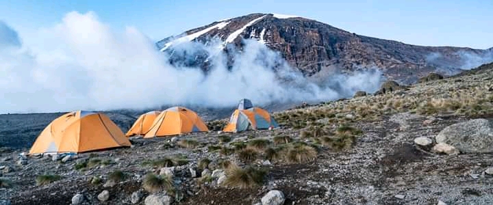 6 days lemosho route kilimanjaro trekking Moshi