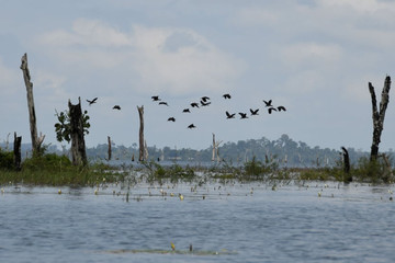 A la découverte du fleuve Sassandra avec AAEN-CI Abidjan