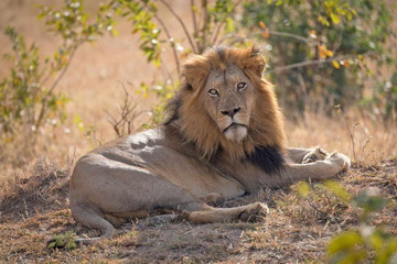  "wild Wonders: 3-day Masai Mara Adventure Safari" Nairobi