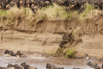 Masai Mara Camping Safari Nairobi