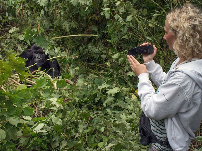 3 Days Wildlife And Gorilla Tracking Safari Kampala
