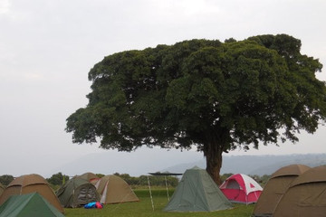 The Stargazer's Dream 5 Days Camping Safari Arusha