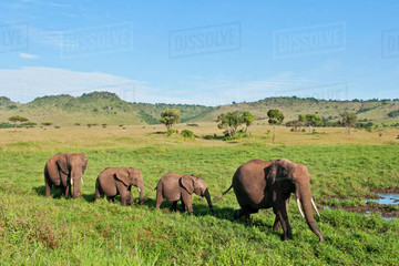 East africa safari bookers Nairobi