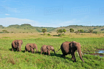 East africa safari bookers Nairobi