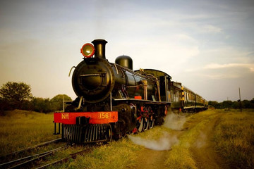 The royal livingstone express Livingstone