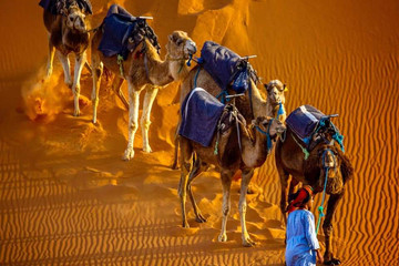 10 Days Private Tours From Casablanca Casablanca