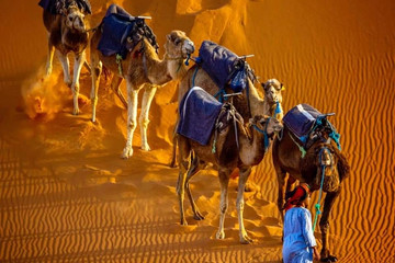 10 days private tours from casablanca Casablanca