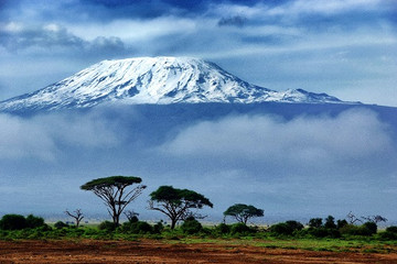 Best 6 days kilimanjaro climbing machame route Arusha