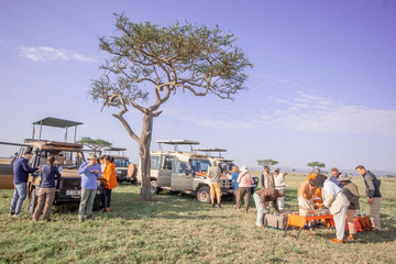 6 Days Adventure Of Exploring Tanzanian Iconic National Parks Arusha